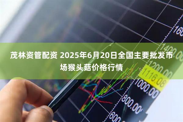 茂林资管配资 2025年6月20日全国主要批发市场猴头菇价格行情